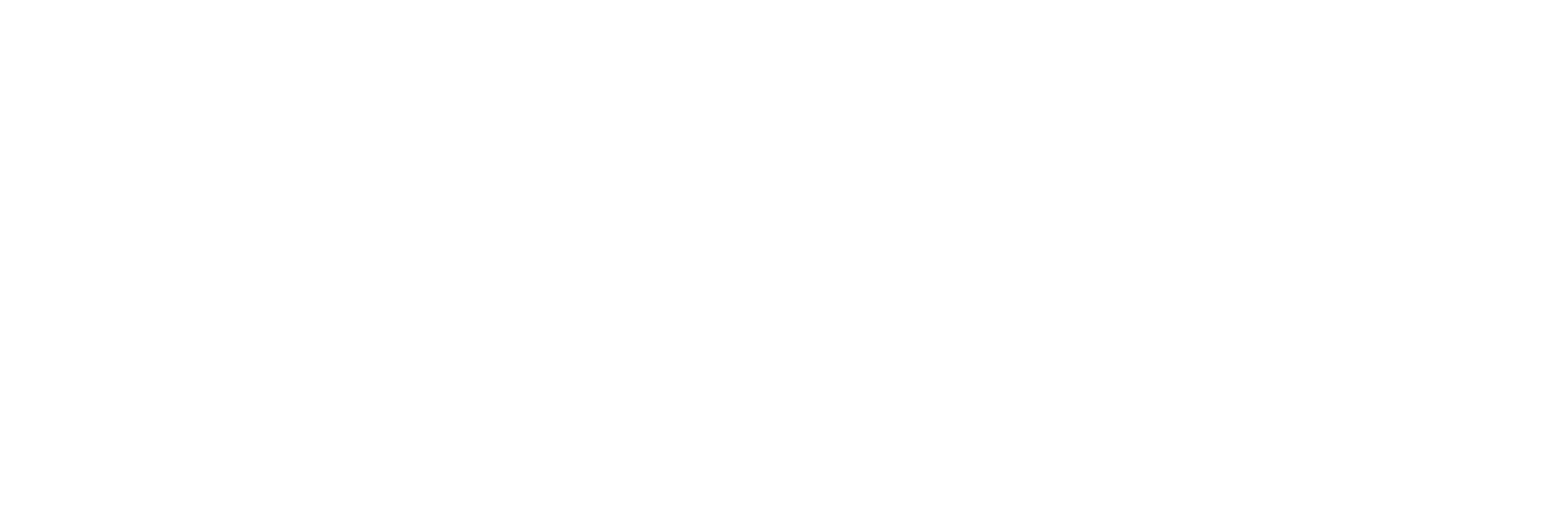 internationaal verzekeren logo
